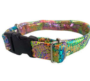 COLLAR REPTIL COLORES