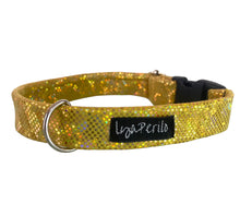 Cargar imagen en el visor de la galería, COLLAR DORADO DISCO