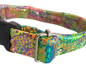 COLLAR REPTIL COLORES